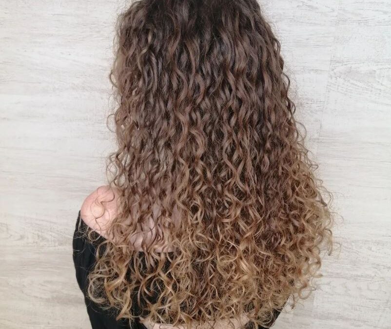 ¿Cómo secar el pelo para evitar el frizz y la inflamación, y cuál es la técnica correcta para secar la raíz del pelo?