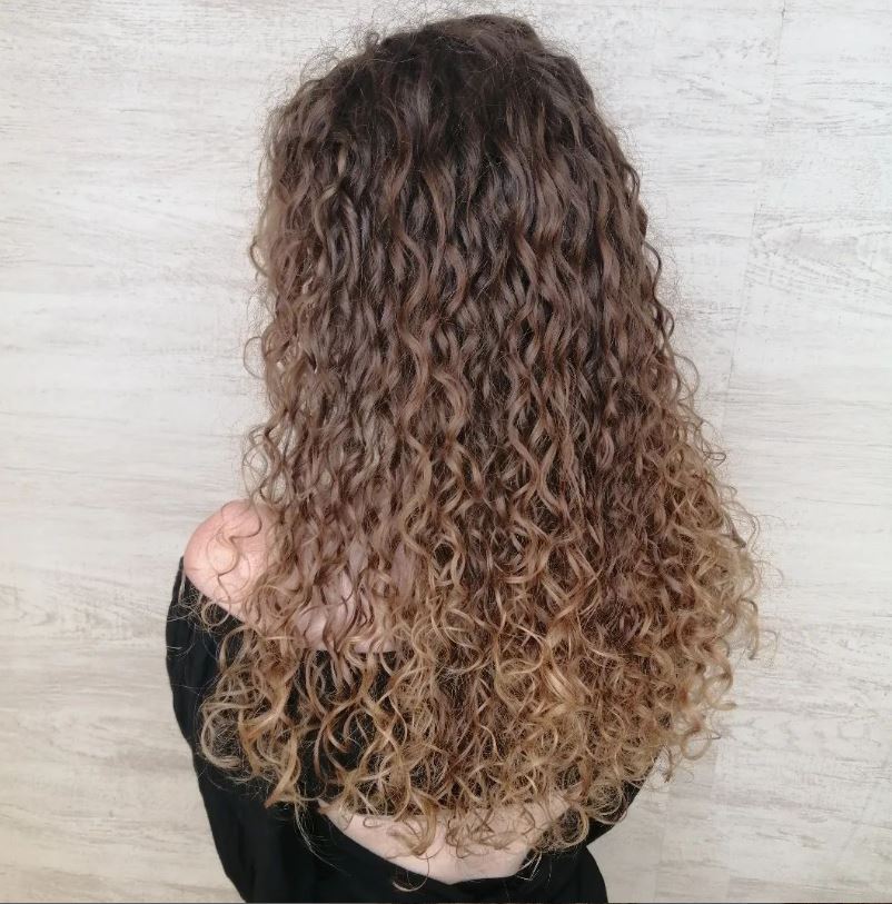 cabello seco4